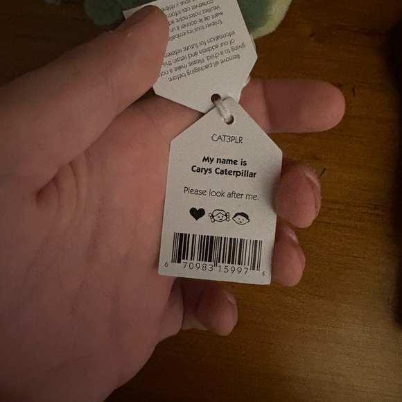 Retired Carys Caterpillar Jellycat - Picture 4 of 5